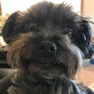 Meet your Posher, Ruby